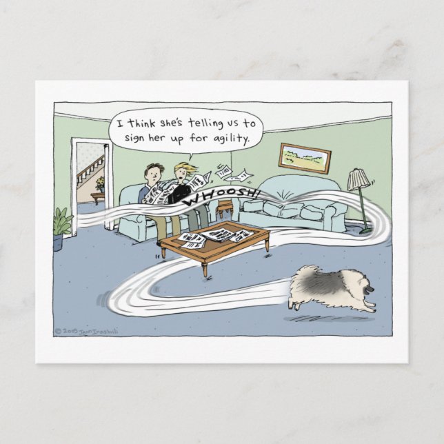 Keeshond "Livingroom Agility" Cartoon Postkarte (Vorderseite)