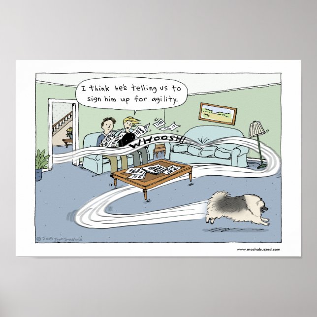 Keeshond "Livingroom Agility" Poster (Vorne)