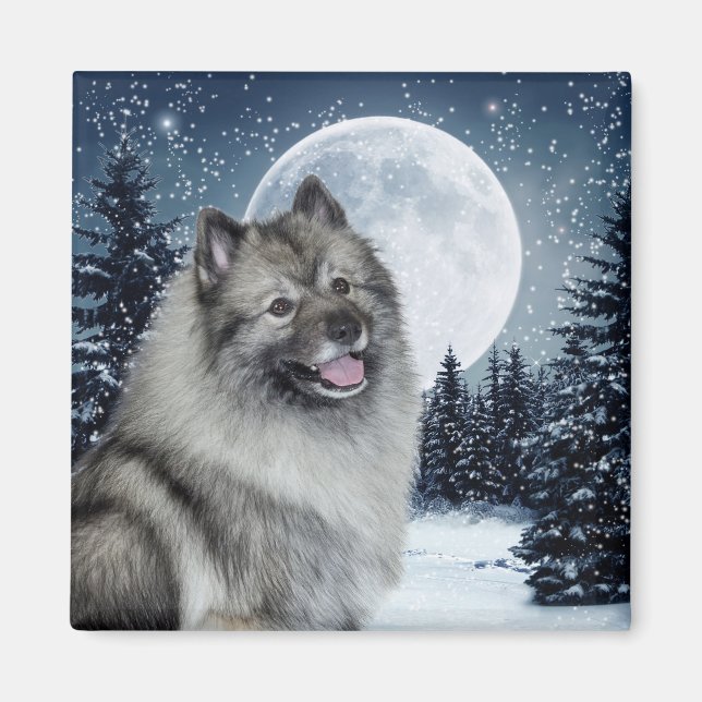 Keeshond Magnet (Devant)