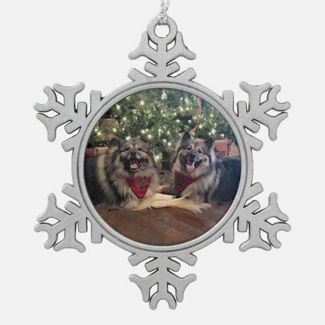 Keeshond mit Weihnachtsbaum Schneeflocken Zinn-Ornament (Vorderseite)
