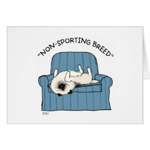 Keeshond "Non-Sporting Breed"