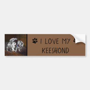 Keeshond Playtime Malerei - Niedliche Original Dog Autoaufkleber
