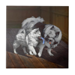 Keeshond Playtime Malerei - Niedliche Original Dog Fliese