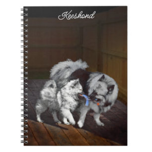 Keeshond Playtime Malerei - Niedliche Original Dog Notizblock