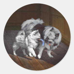 Keeshond Playtime Malerei - Niedliche Original Dog Runder Aufkleber