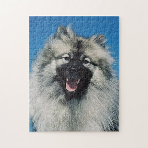 keeshond.png