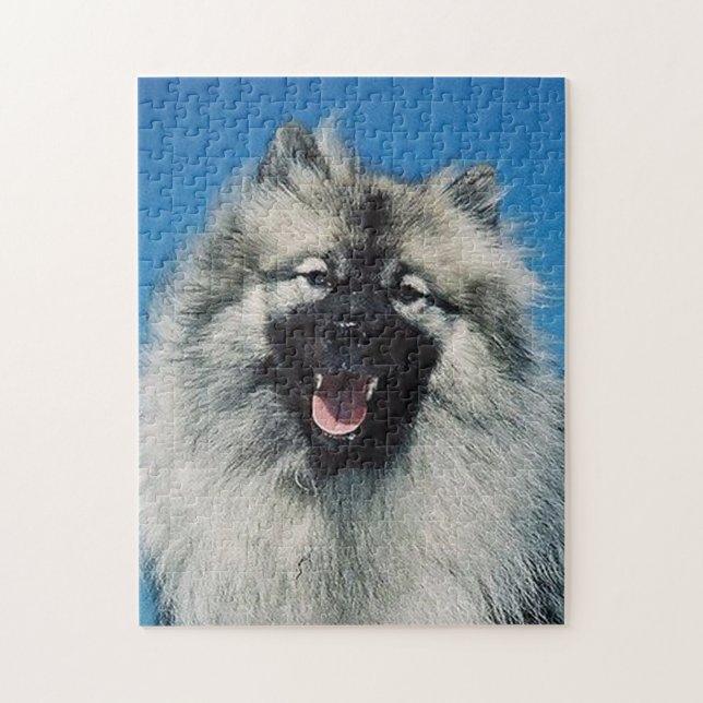 keeshond.png (Vertikal)