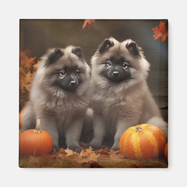 Keeshond Puppy Autumn Delight Pumpkin Magnet (Vorne)