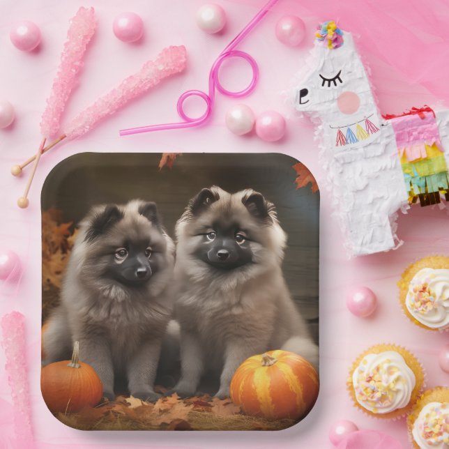 Keeshond Puppy Autumn Delight Pumpkin Pappteller (Party)