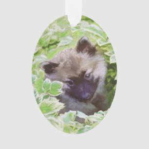 Keeshond Puppy in the Garden Peinture Art original