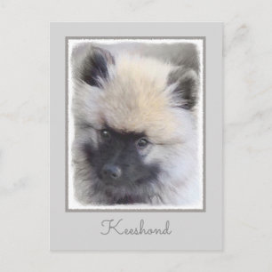 Keeshond Puppy Painting - Niedliche Original Dog A Postkarte
