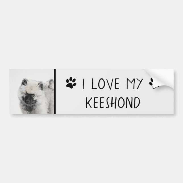 Keeshond Puppy Zeichnend - Niedliche Original Hund Autoaufkleber (Vorne)