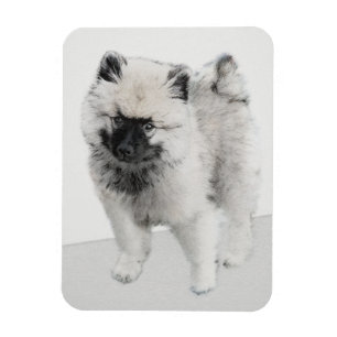 Keeshond Puppy Zeichnend - Niedliche Original Hund Magnet
