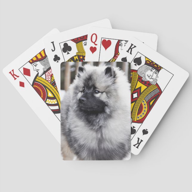 Keeshond-Spielkarten Spielkarten (Rückseite)