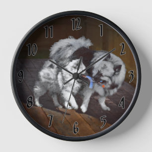 Keeshond Spielzeit Malerei - Süße Original-Hunde-K Uhr