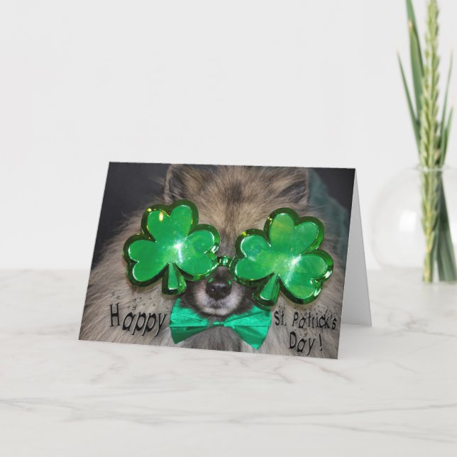 Keeshond-St Patrick Tageskarte Karte (Vorderseite)