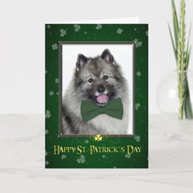 Keeshond St. Patrick's Day Card Karte (Vorderseite)