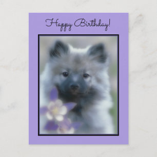 Keeshond und Columbine - Hundfoto Postkarte