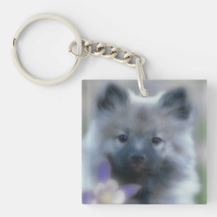 Keeshond und Columbine - Hundfoto Schlüsselanhänger