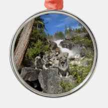 Keeshond-Wasserfall-Verzierung