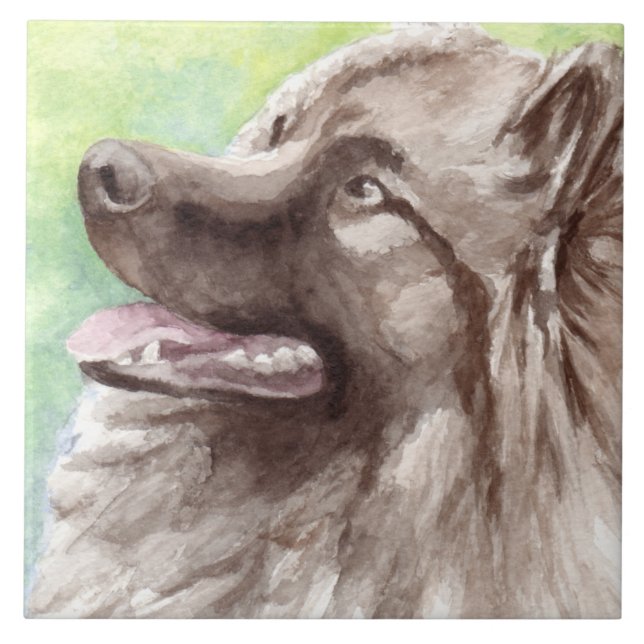 Keeshond Watercolor Portrait Fliese (Vorderseite)