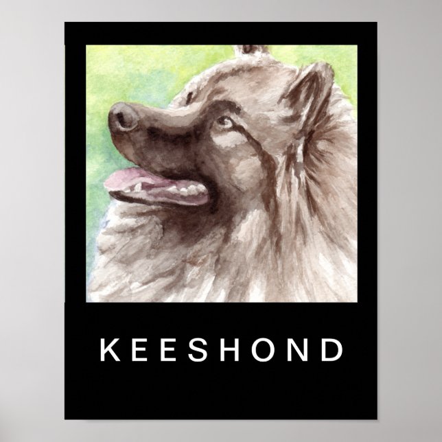 Keeshond Watercolor Portrait Poster (Vorne)