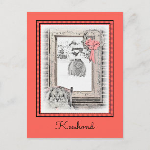 Keeshond Weihnachtsfenster Malerei Hund Kunst Postkarte