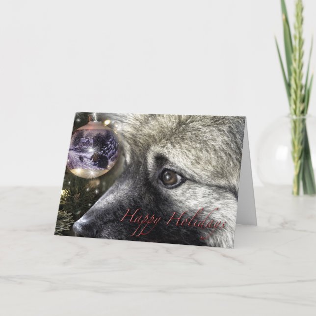 Keeshond-Weihnachtskarte Feiertagskarte (Vorderseite)