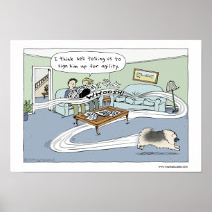 Keeshond "Wohnzimmer-Agility " Poster
