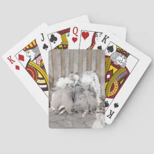 Keeshonds am Tor Gemälde - Originale Hundekunst Spielkarten