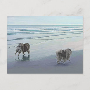 Keeshonds an der Küste Malerei Hund Kunst Postkarte