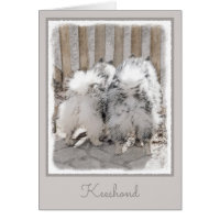 Keeshonds at Gate Painting - Original Dog Art