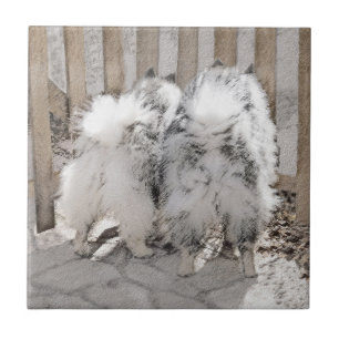 Keeshonds at Gate Painting - Original Dog Art Fliese