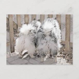 Keeshonds at Gate Painting - Original Dog Art Postkarte