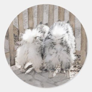 Keeshonds at Gate Painting - Original Dog Art Runder Aufkleber