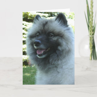 Keeshound Karte