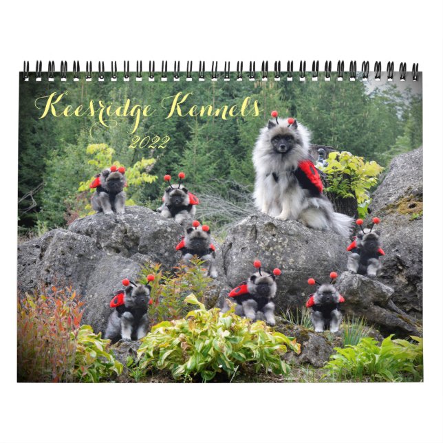 Keesridge Kennels Kalender 2020 (Titelbild)