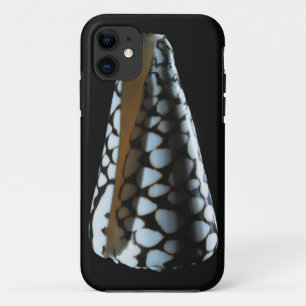 Kegel-Muschel 2 iPhone 11 Hülle