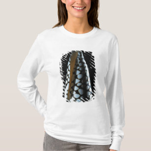 Kegel-Muschel 2 T-Shirt