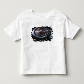 Kegel-Muschel Kleinkind T-shirt