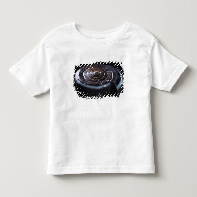 Kegel-Muschel Kleinkind T-shirt (Vorderseite)
