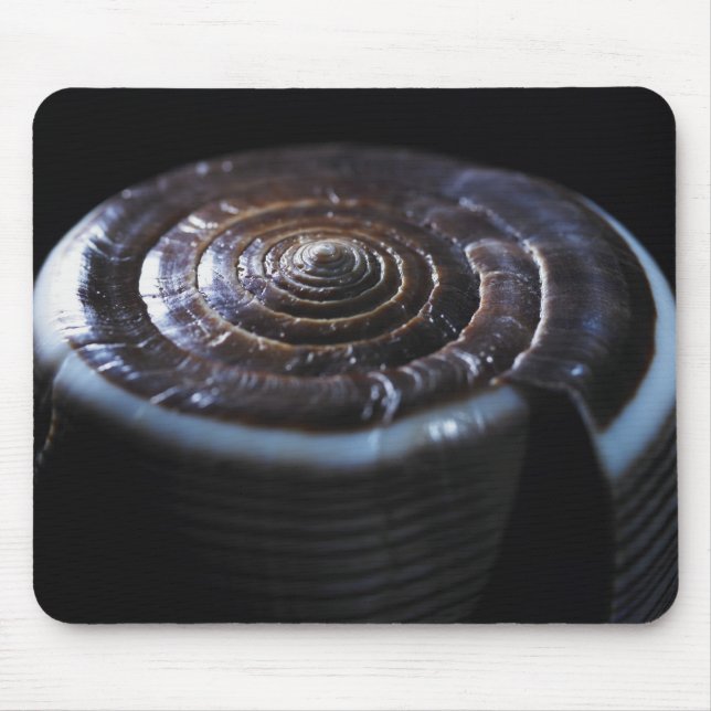 Kegel-Muschel Mousepad (Vorne)