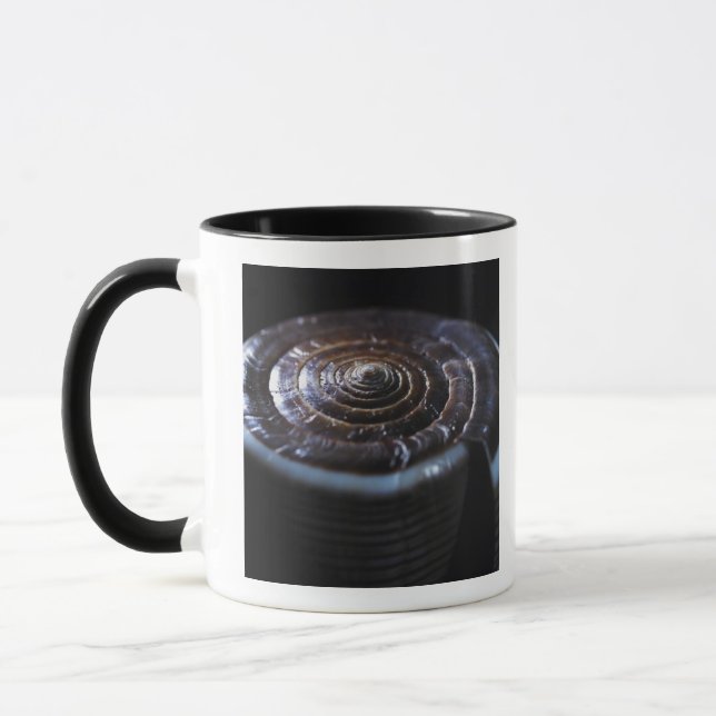 Kegel-Muschel Tasse (Links)