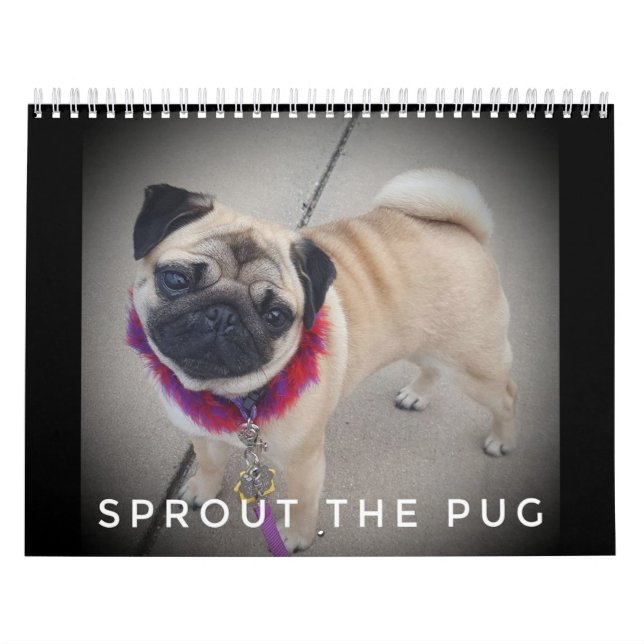 Keimen Sie den Mops-Kalender 2019 Kalender (Titelbild)