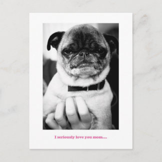 Kein aufgeregter Moment Postkarte