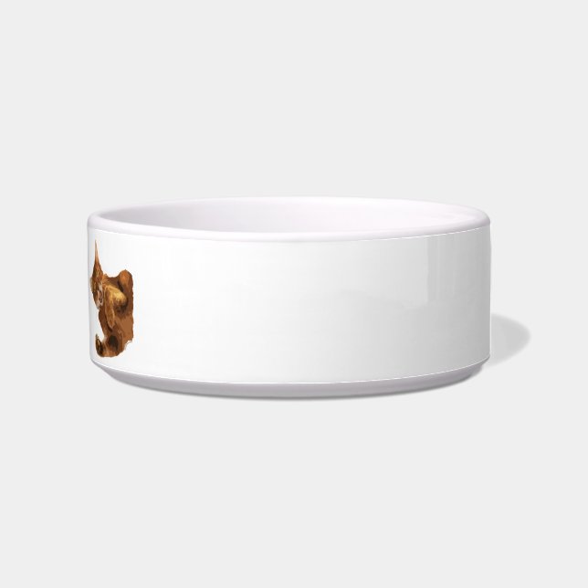 Kein Declaw Miezekatze-Katzenfutter-Schüssel Napf (Rechts)