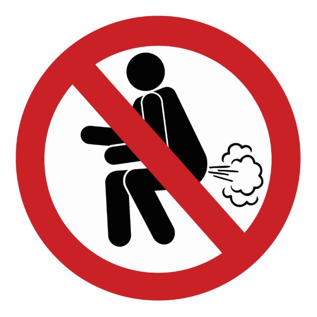KEIN Farnzeichen ⚠ Funny Thai Toilet ⚠ Freistehende Fotoskulptur (Vorne)
