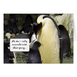 Kein freier Mittagessen-Pinguin