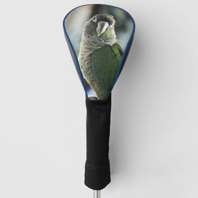 Kein Igel mehr Golf Headcover (Vorderseite)