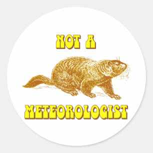 Kein Meteorologe Groundhog Runder Aufkleber